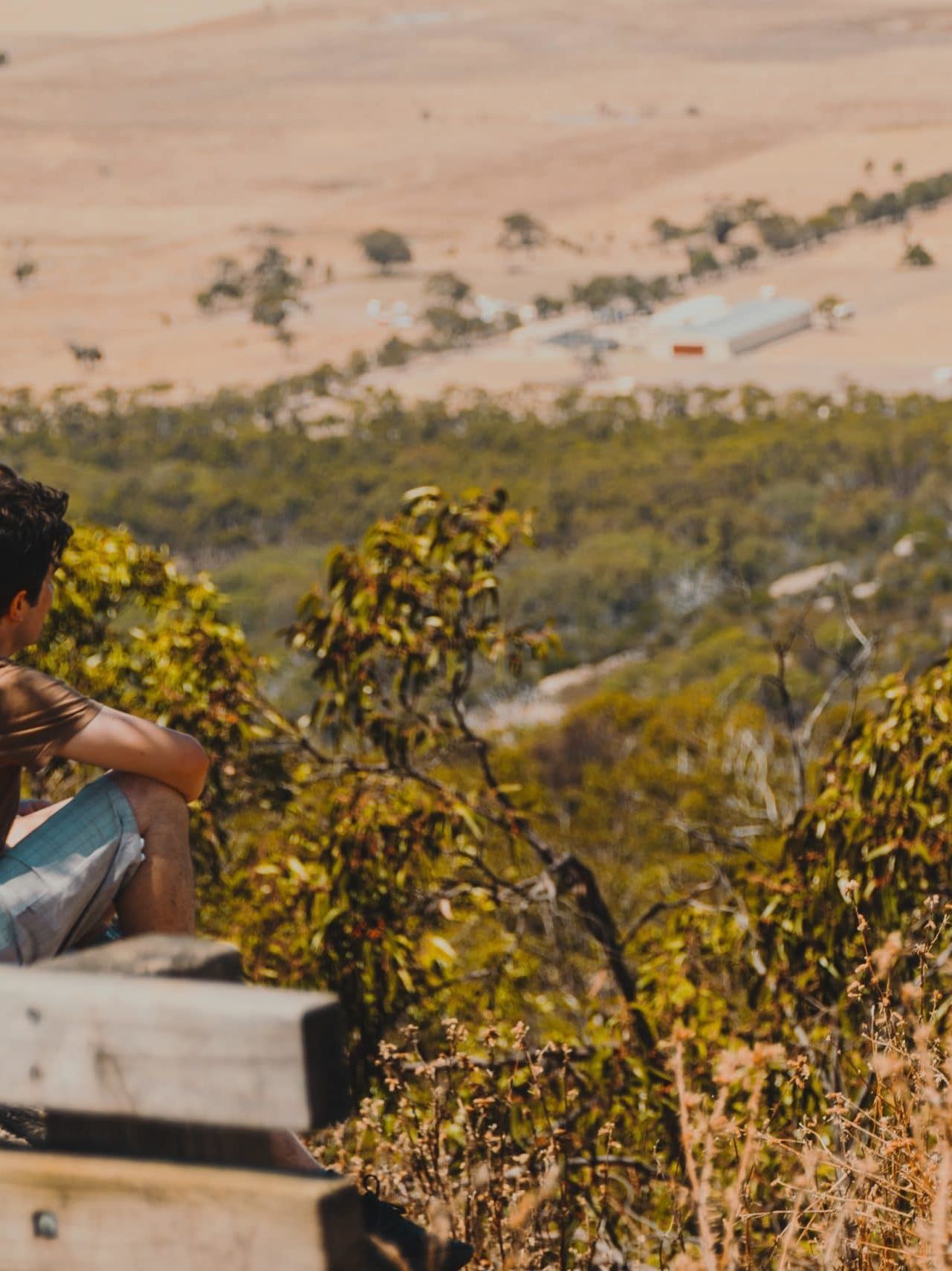 two men near trees