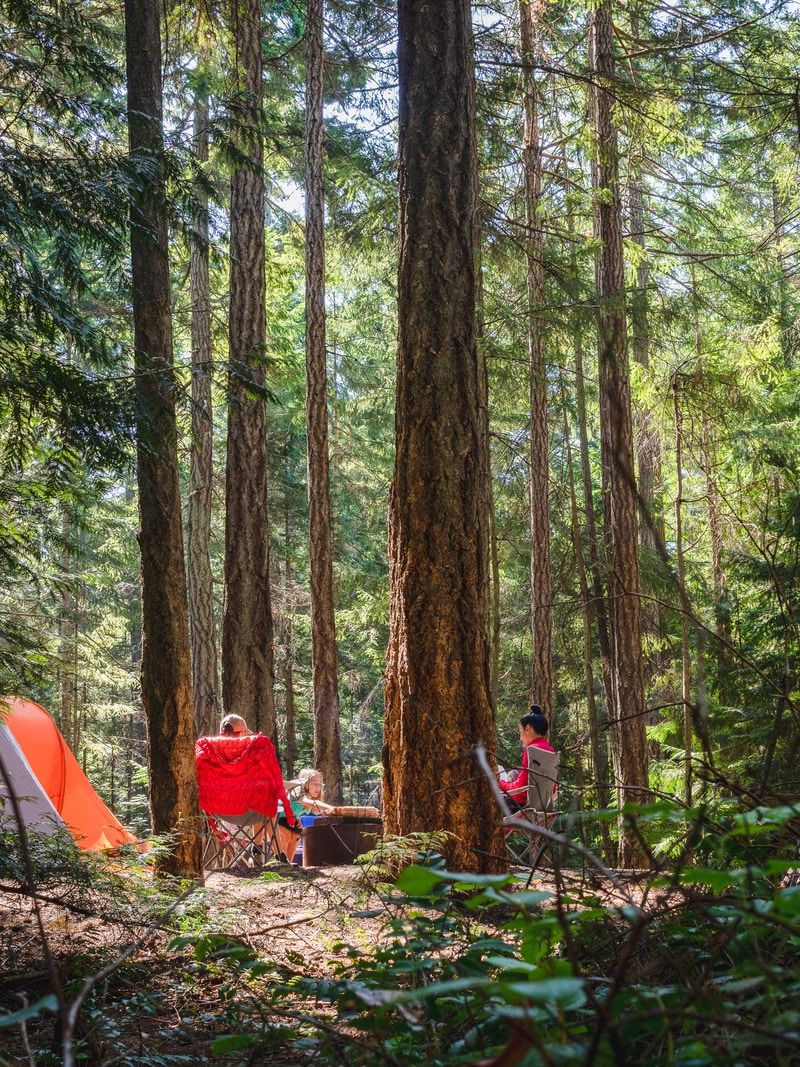 people sitting on ground surrounded by trees during daytime