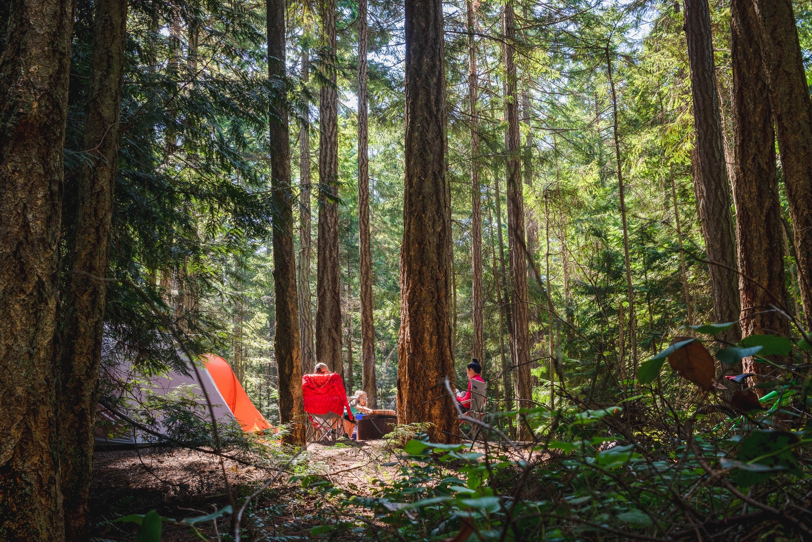 people sitting on ground surrounded by trees during daytime