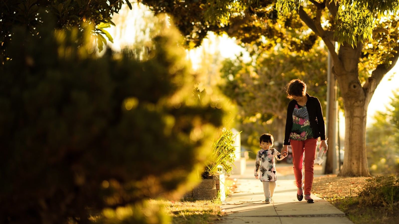 woman holding a child walking in the pathway