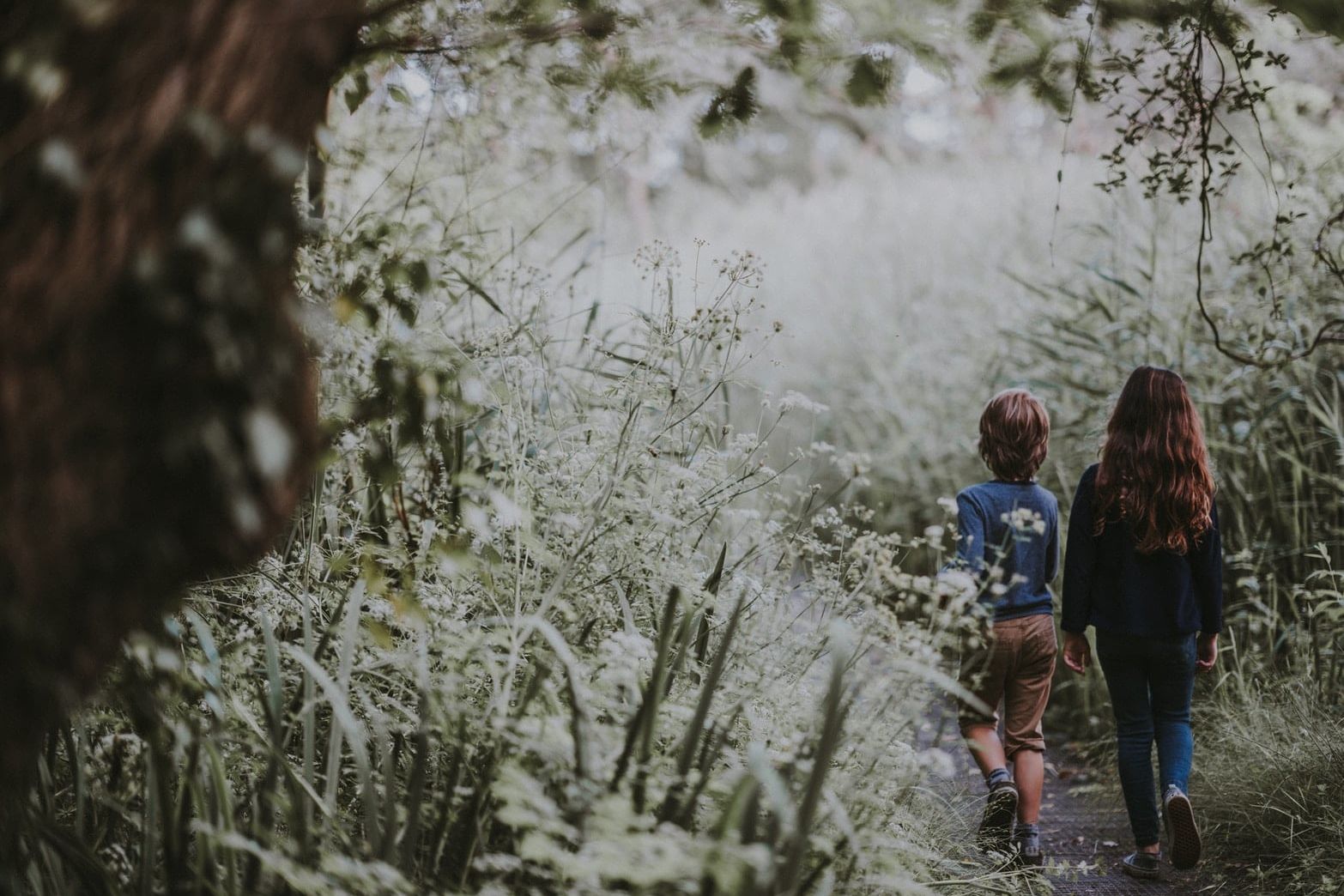 girl and boy walking on forest trail