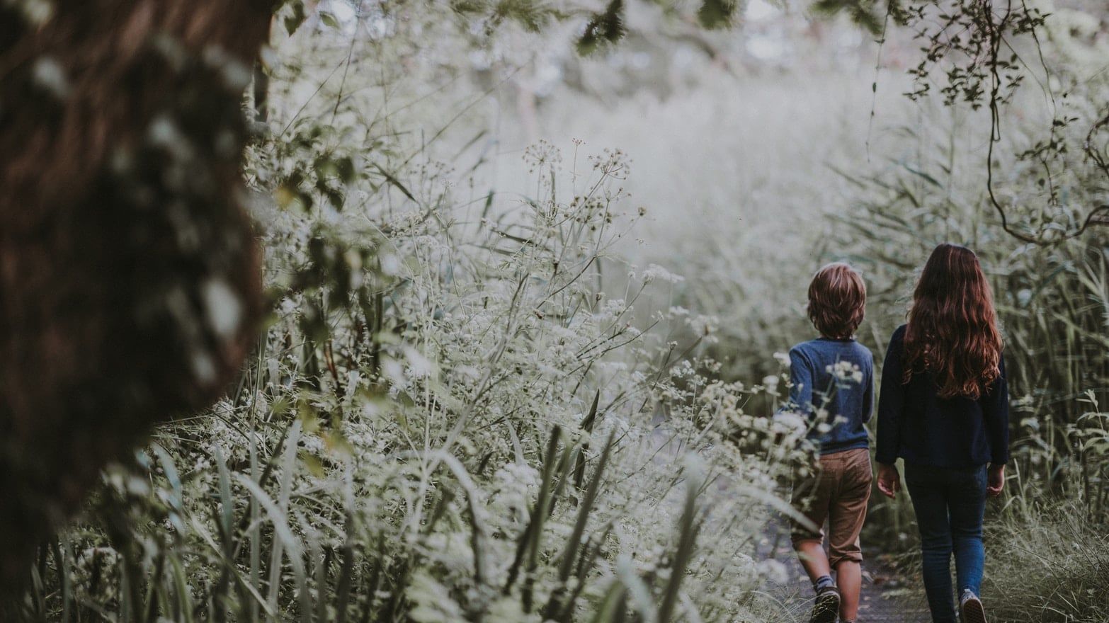 girl and boy walking on forest trail