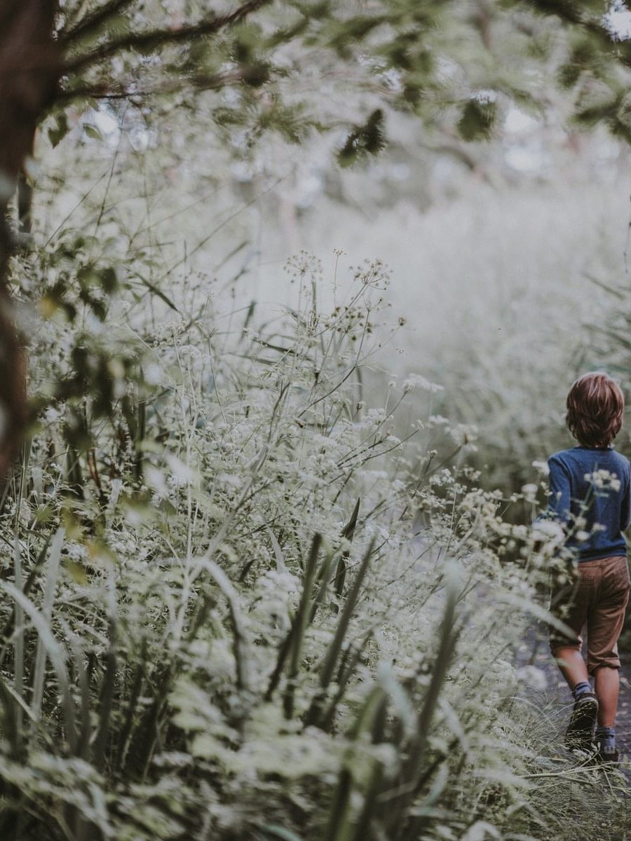 girl and boy walking on forest trail