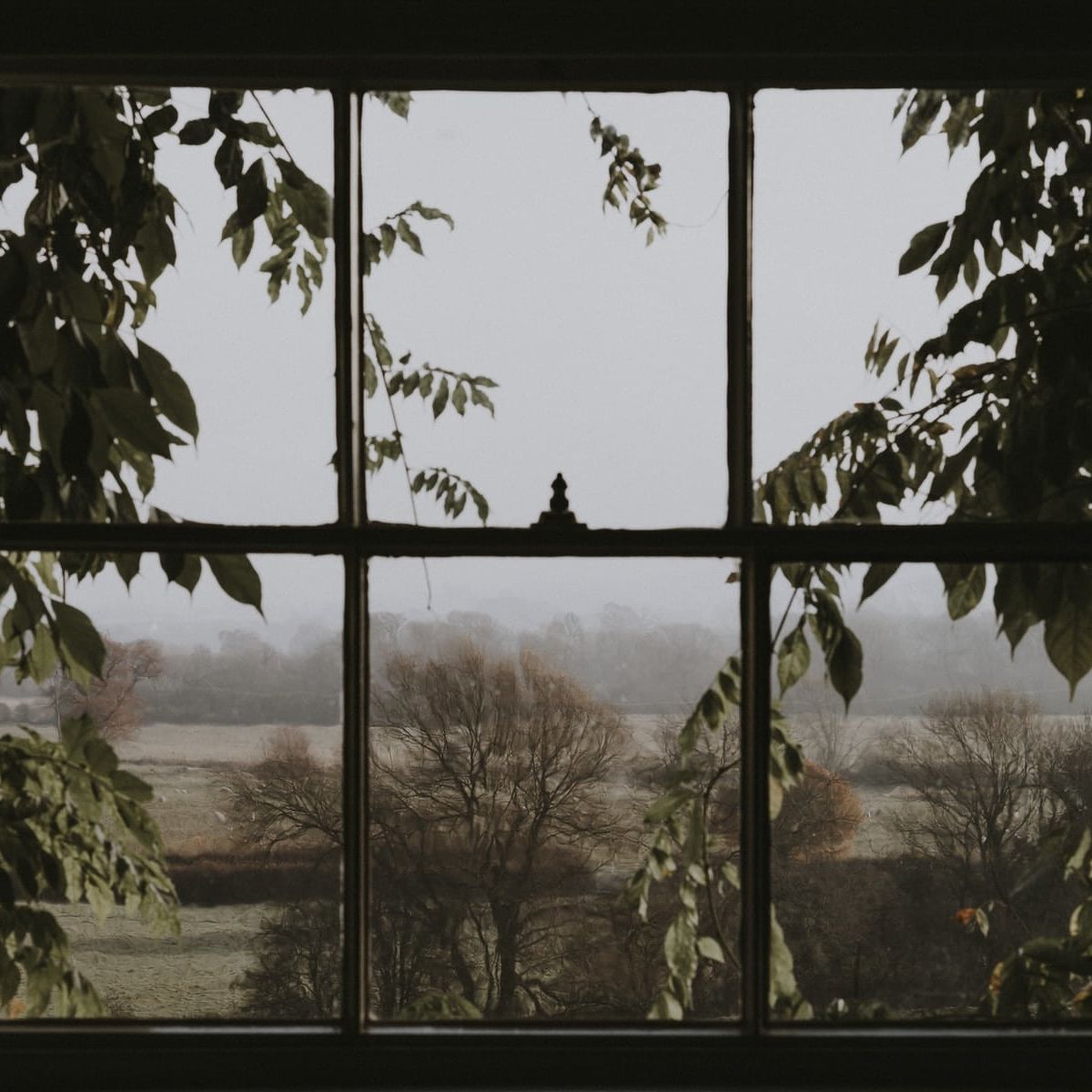 window overlooking green trees