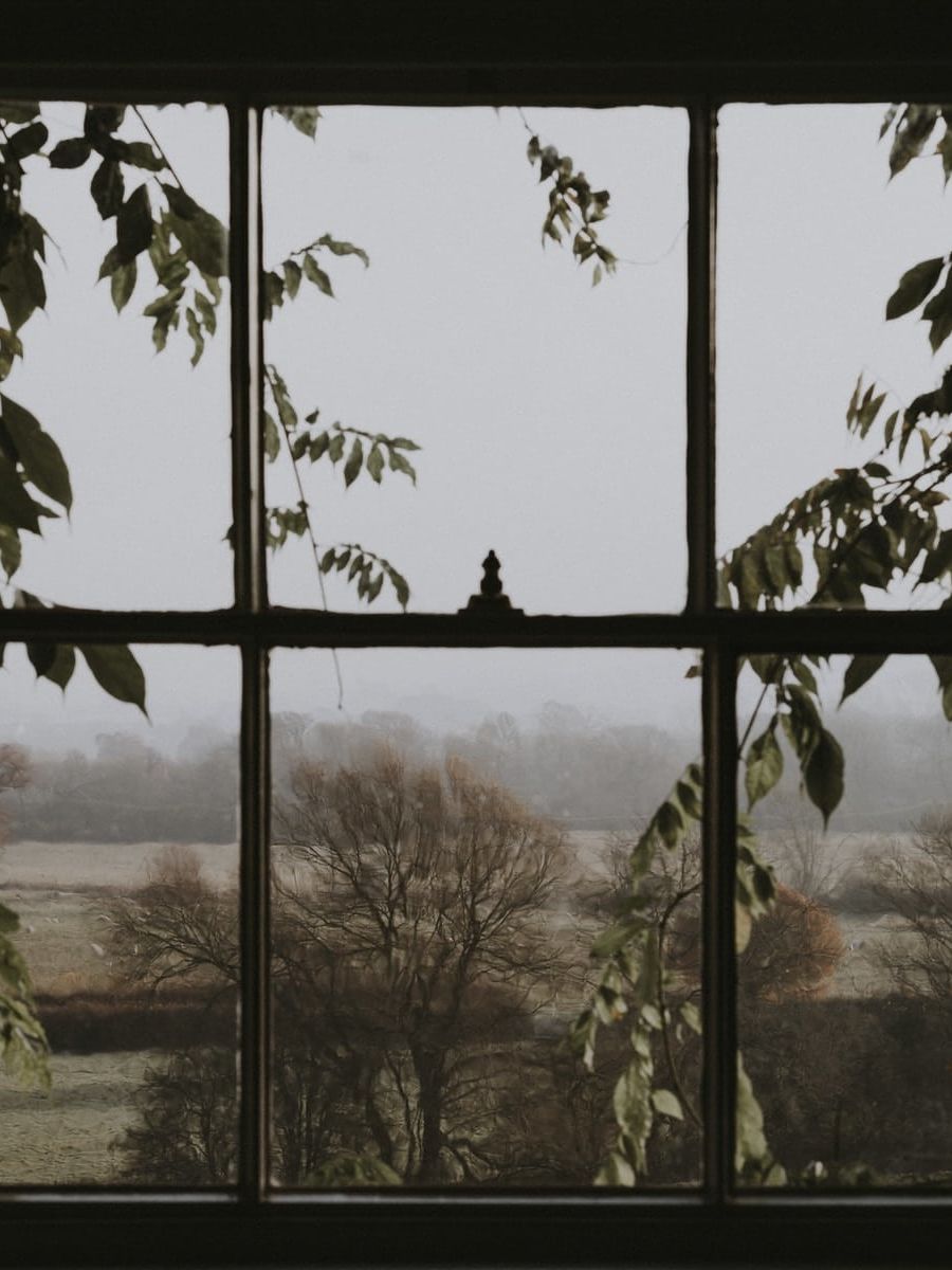 window overlooking green trees