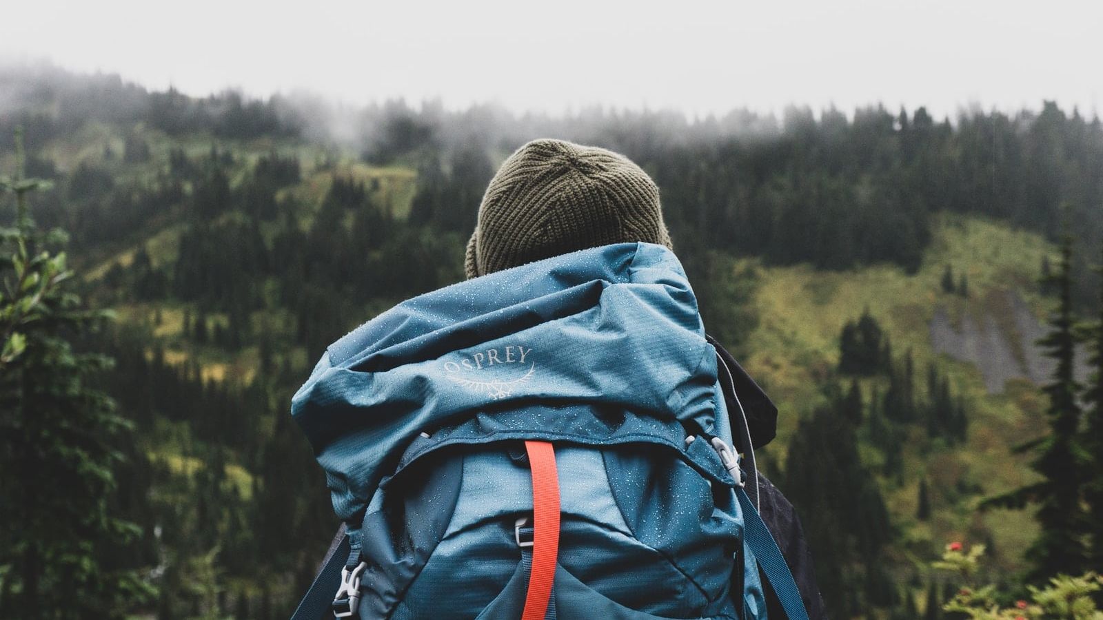 person wearing teal backpack looking at mountain