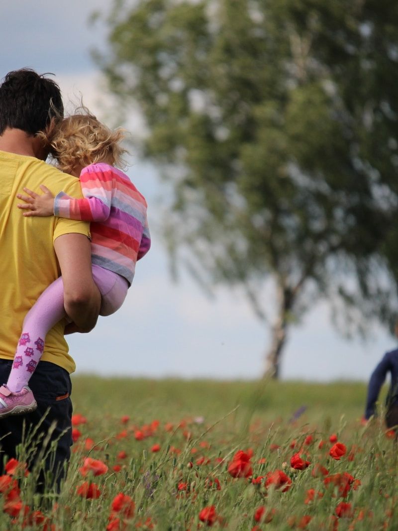 man carrying to girls on field of red petaled flower