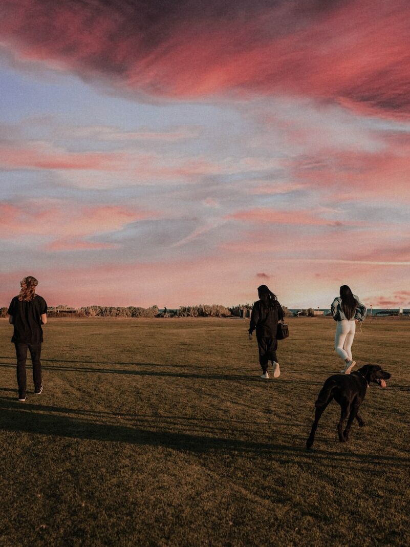 four women and one man running together with two dogs on grass field