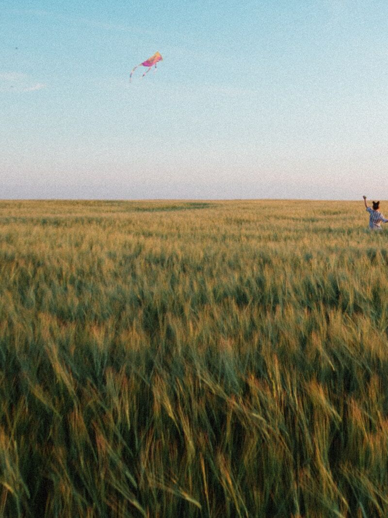 person in grey shirt standing on green grass field during daytime